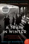 A Train in Winter synopsis, comments