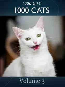 1000 gifs 1000 cats book cover image
