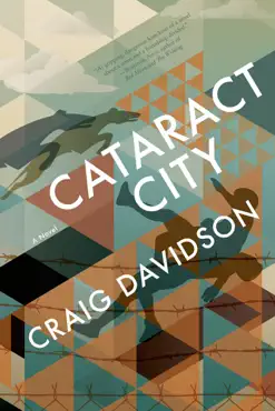 cataract city book cover image