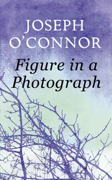 figure in a photograph: a short story from 'where have you been?' imagen de la portada del libro