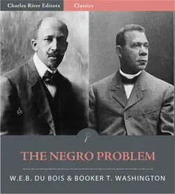 the negro problem book cover image
