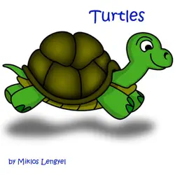 turtles book cover image