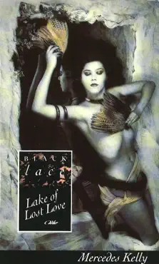 lake of lost love book cover image