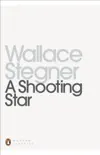 A Shooting Star sinopsis y comentarios