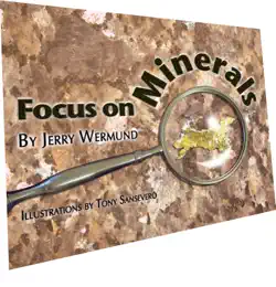 focus on minerals book cover image