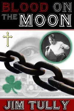 blood on the moon book cover image