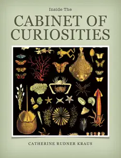 inside the cabinet of curiosities imagen de la portada del libro