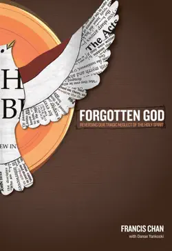 forgotten god book cover image