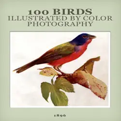 100 birds illustrated by color photography book cover image