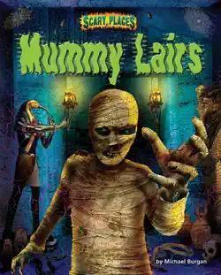 mummy lairs book cover image