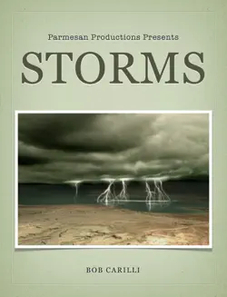 storms book cover image
