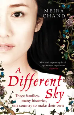 a different sky book cover image