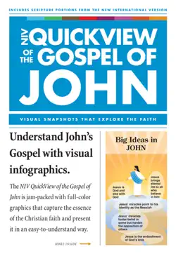 niv, quickview of the gospel of john book cover image