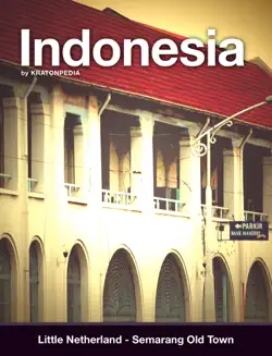 indonesia book cover image