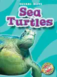 Sea Turtles book summary, reviews and download