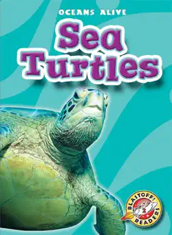 sea turtles book cover image