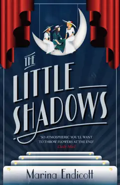 the little shadows imagen de la portada del libro