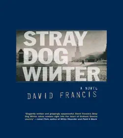 stray dog winter book cover image