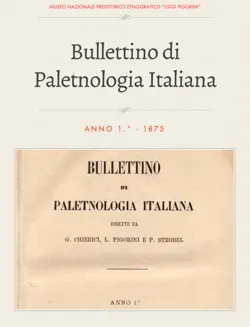 bullettino di paletnologia italiana book cover image