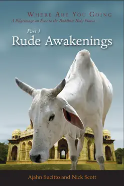 rude awakenings book cover image