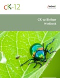CK-12 Biology Workbook book summary, reviews and downlod