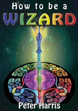 how to be a wizard - how life is magical, and we are too book cover image