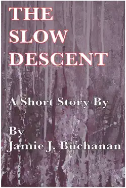 the slow descent book cover image