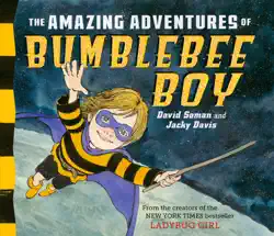 the amazing adventures of bumblebee boy book cover image