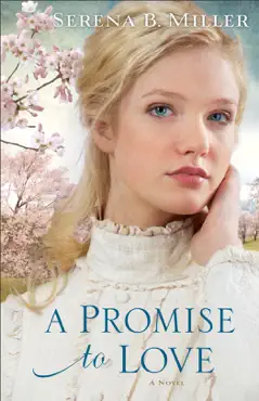 promise to love book cover image