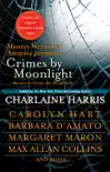Crimes by Moonlight synopsis, comments