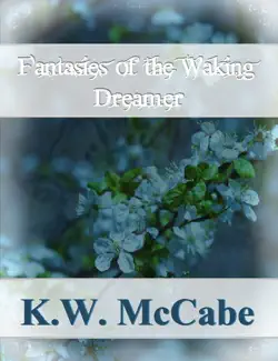 fantasies of the waking dreamer book cover image