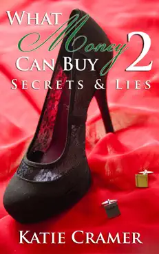 what money can buy 2 - secrets and lies book cover image