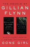 The Novels of Gillian Flynn synopsis, comments