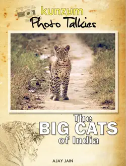 the big cats of india book cover image