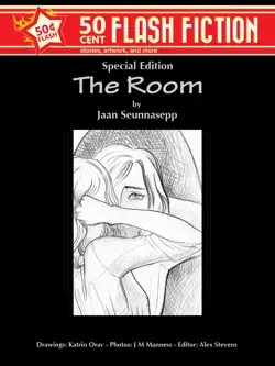 the room book cover image