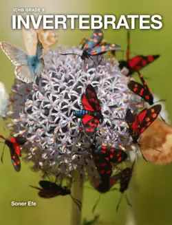 invertebrates imagen de la portada del libro