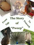 The Story of "Pweep" book summary, reviews and download