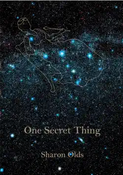 one secret thing book cover image