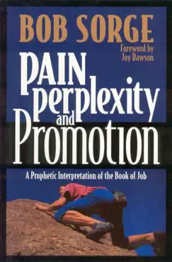 pain, perplexity and promotion book cover image