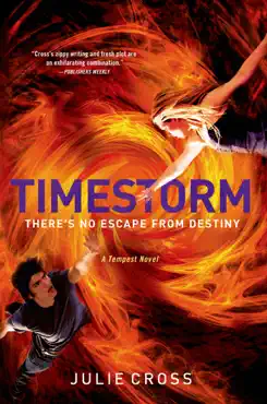 timestorm book cover image
