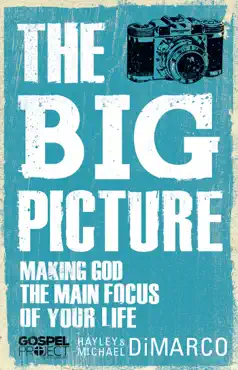 the big picture book cover image