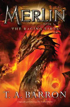 the raging fires book cover image