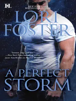 a perfect storm book cover image