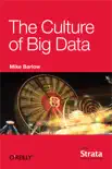 The Culture of Big Data reviews