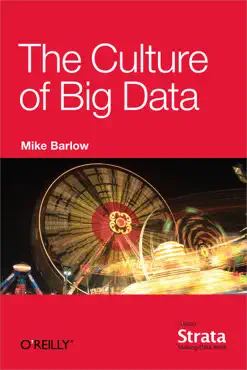 the culture of big data book cover image