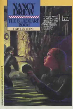 the bluebeard room book cover image