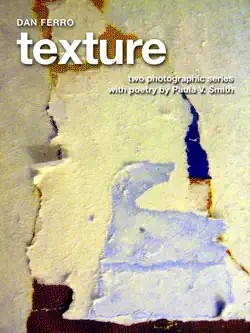 texture book cover image