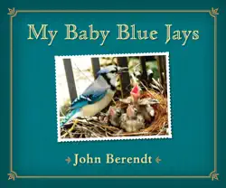 my baby blue jays imagen de la portada del libro