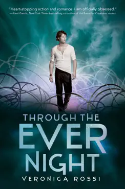through the ever night book cover image