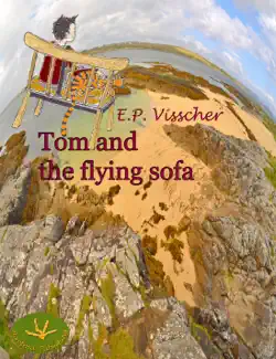 tom and the flying sofa book cover image